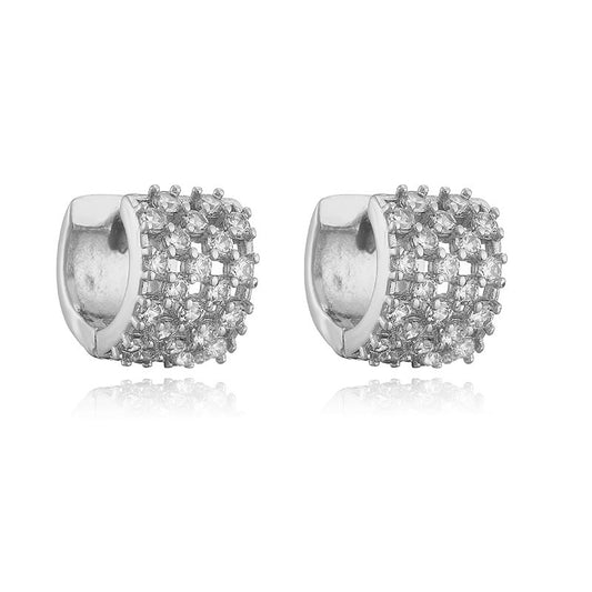 C Shape Circle Zircon Stainless Steel Earrings