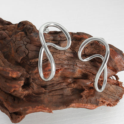 Exaggerated Irregular Plating Titanium Steel Earrings